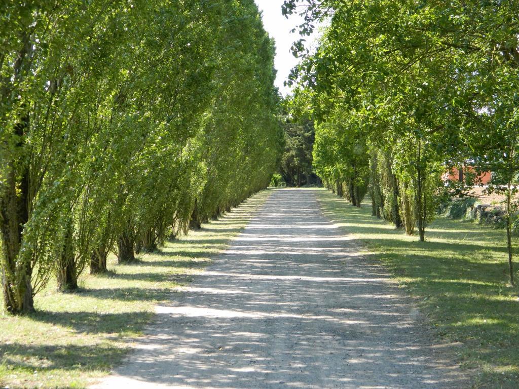Gite De Cray Lussault-sur-Loire Kültér fotó
